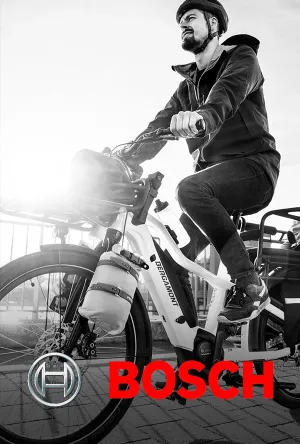 Bosch zertifiziert - Ebike Service Berlin